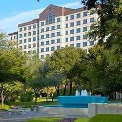 Renaissance Austin