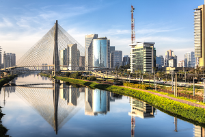 Sao Paulo Bridge web