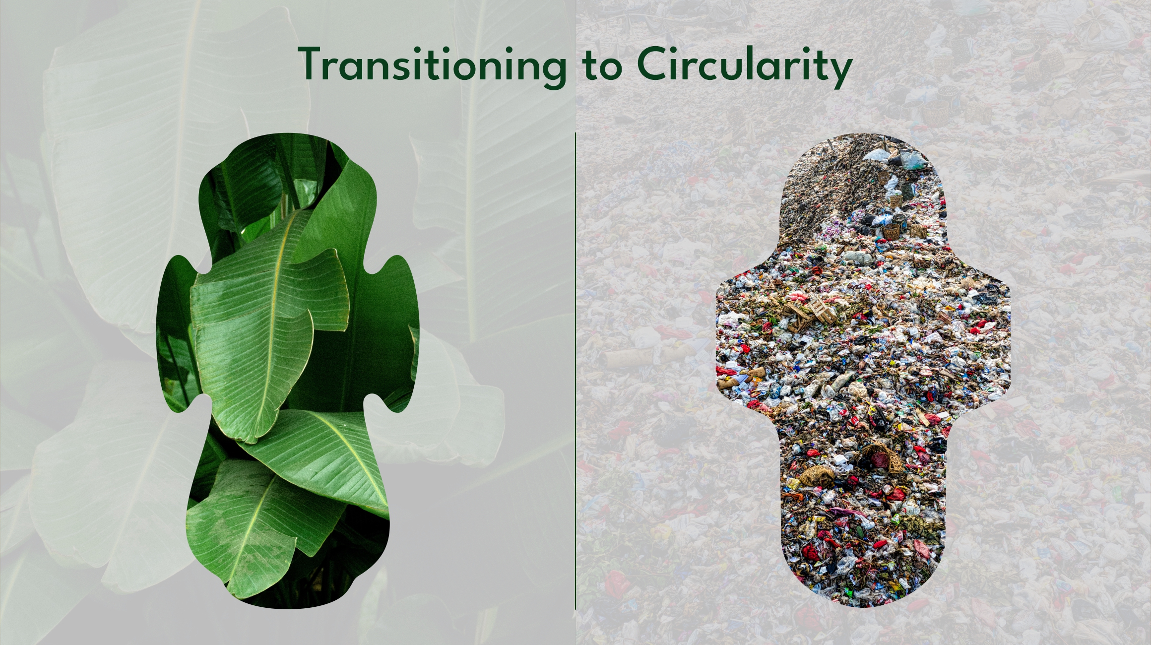 Sparkle Transitioning to circularity