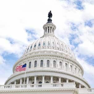 government