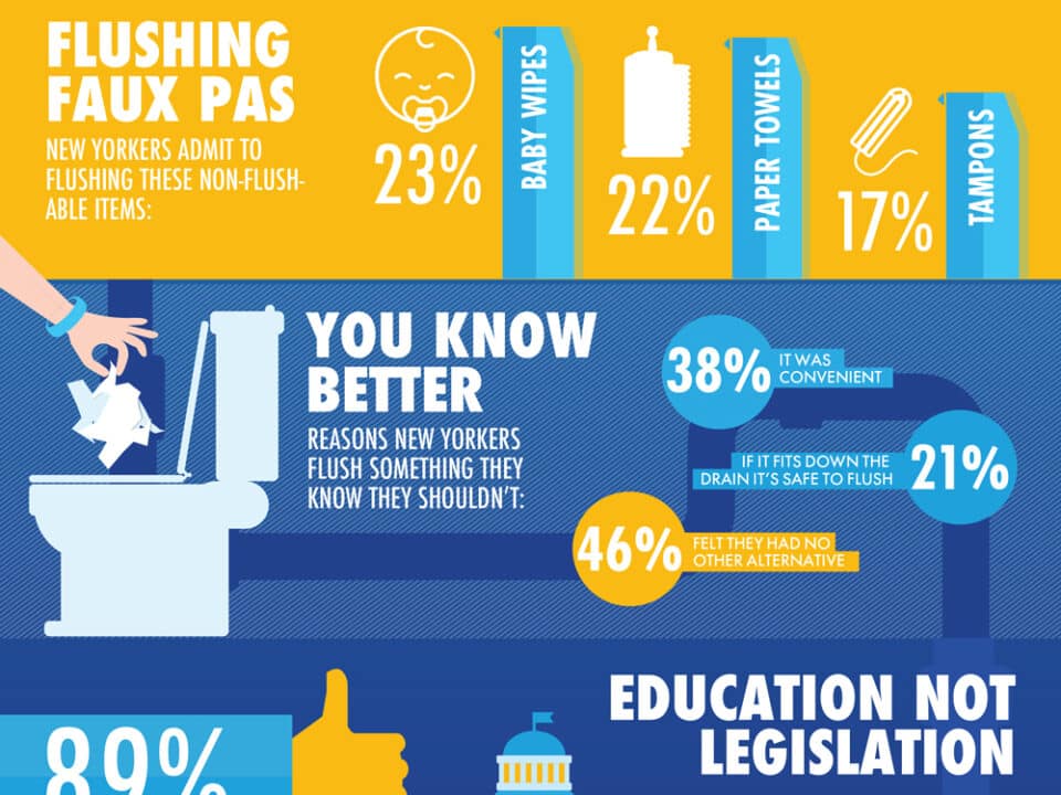 Infographic What2FlushNYC Survey Results info