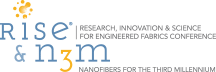 RiseN3M Logo small